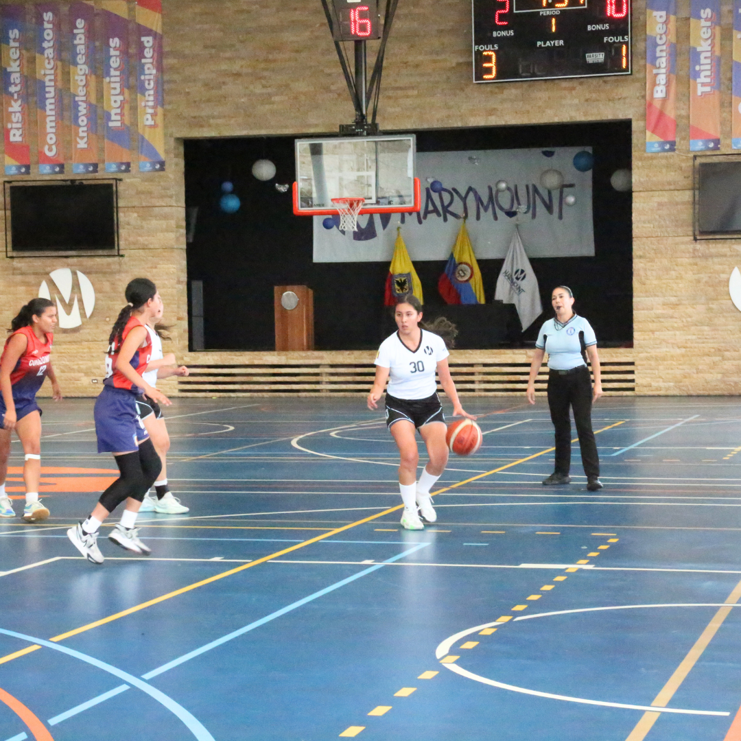 Basket nov 20243