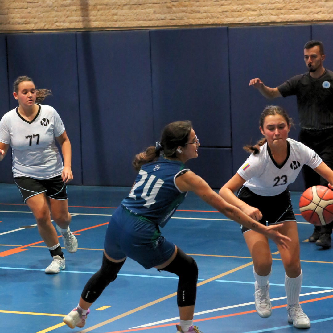 Basket nov 20247
