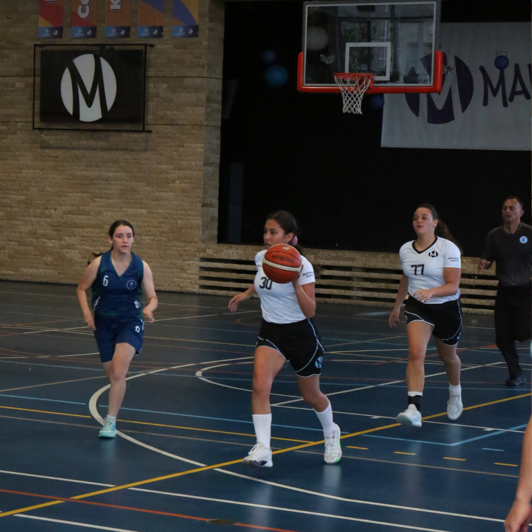 Basket nov 20248
