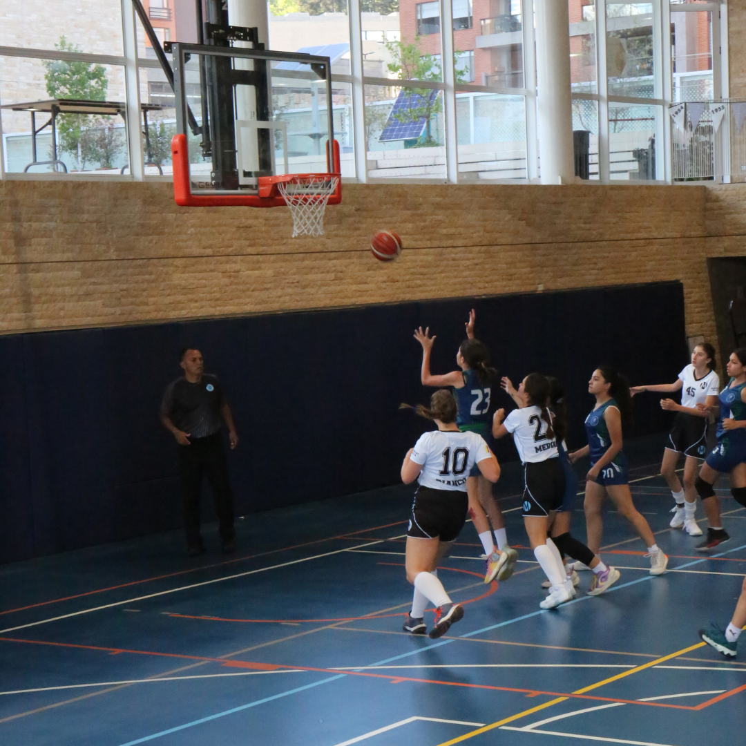 Basket nov 20249