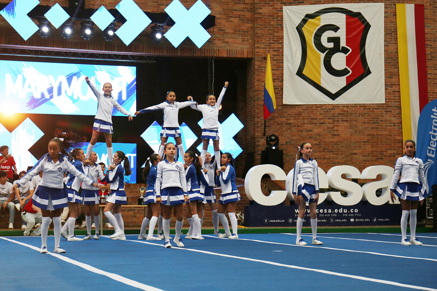 Barras-5