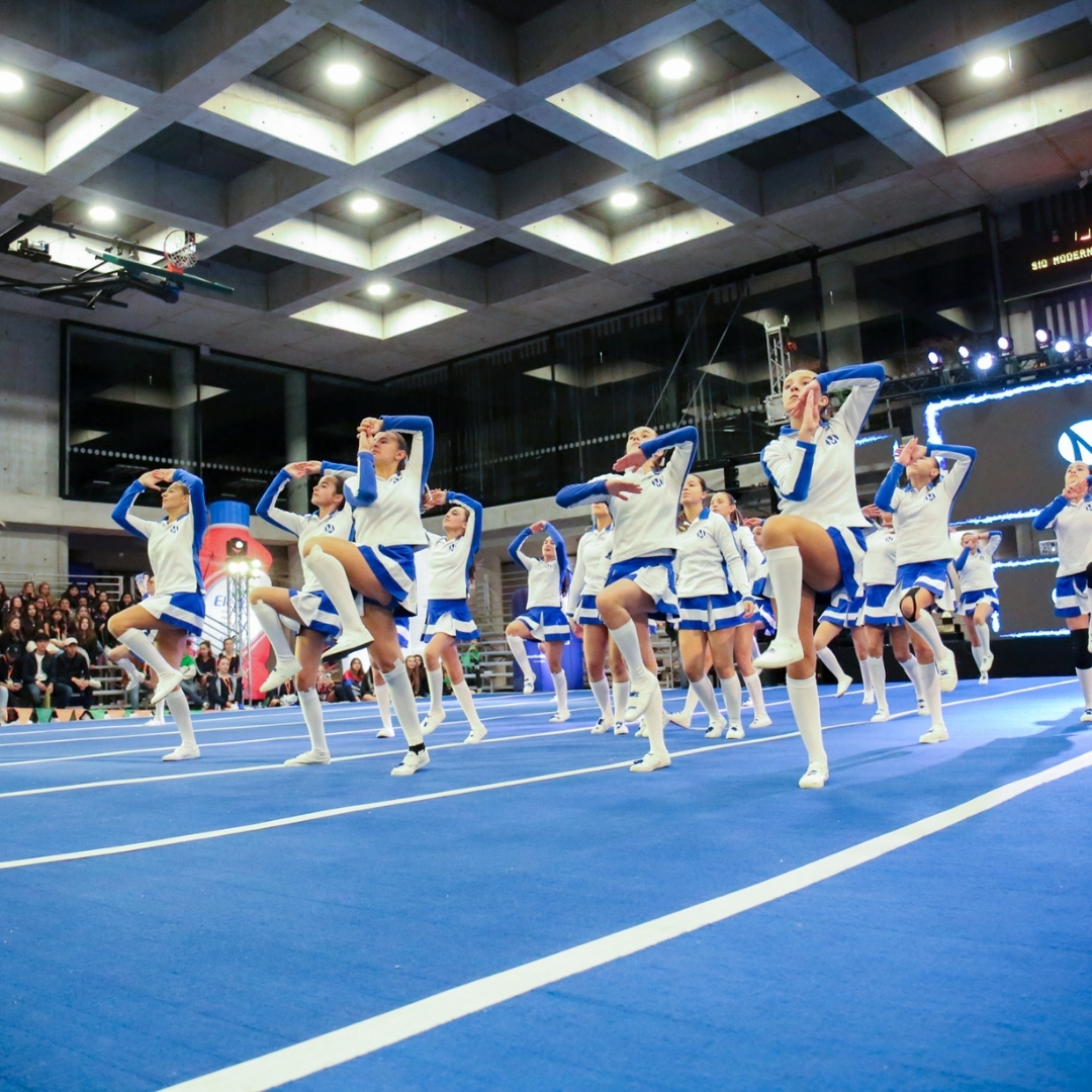 19barras-moderno-2025