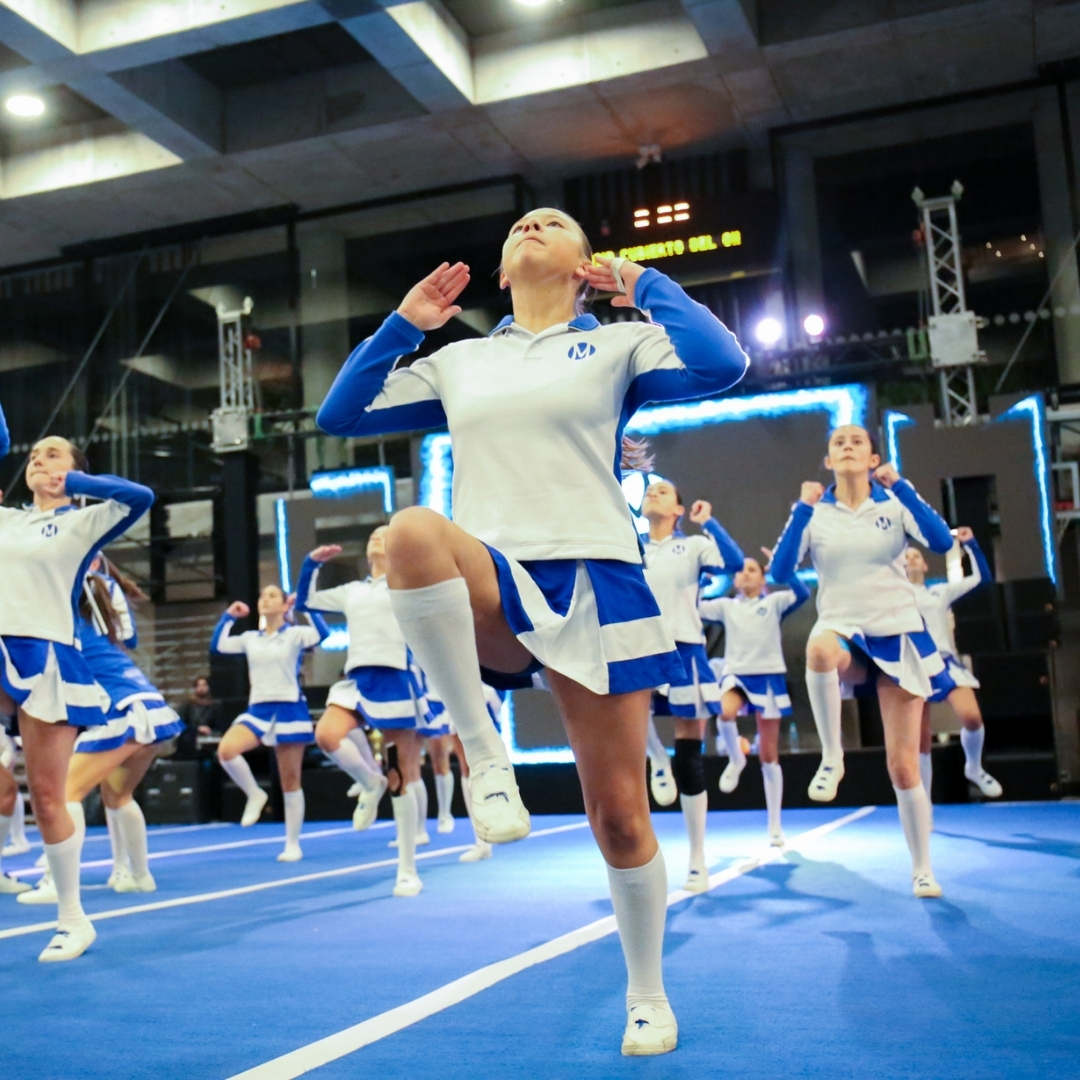 20barras-moderno-2025