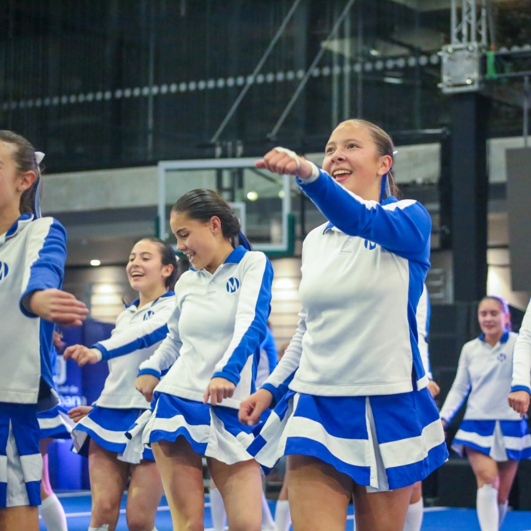 3barras-moderno-2025