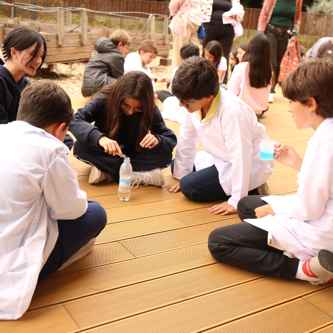 4COED 1semestre 25-26