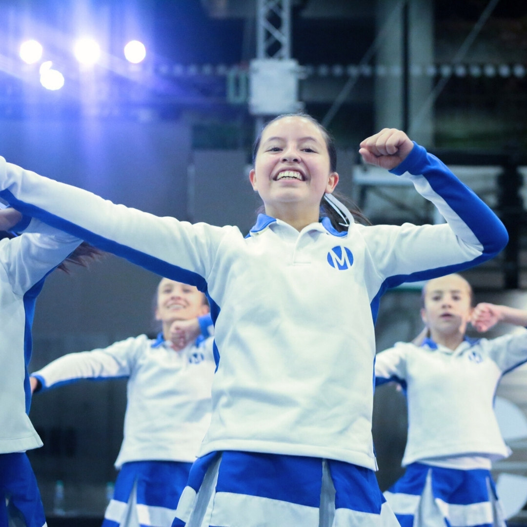 7barras-moderno-2025