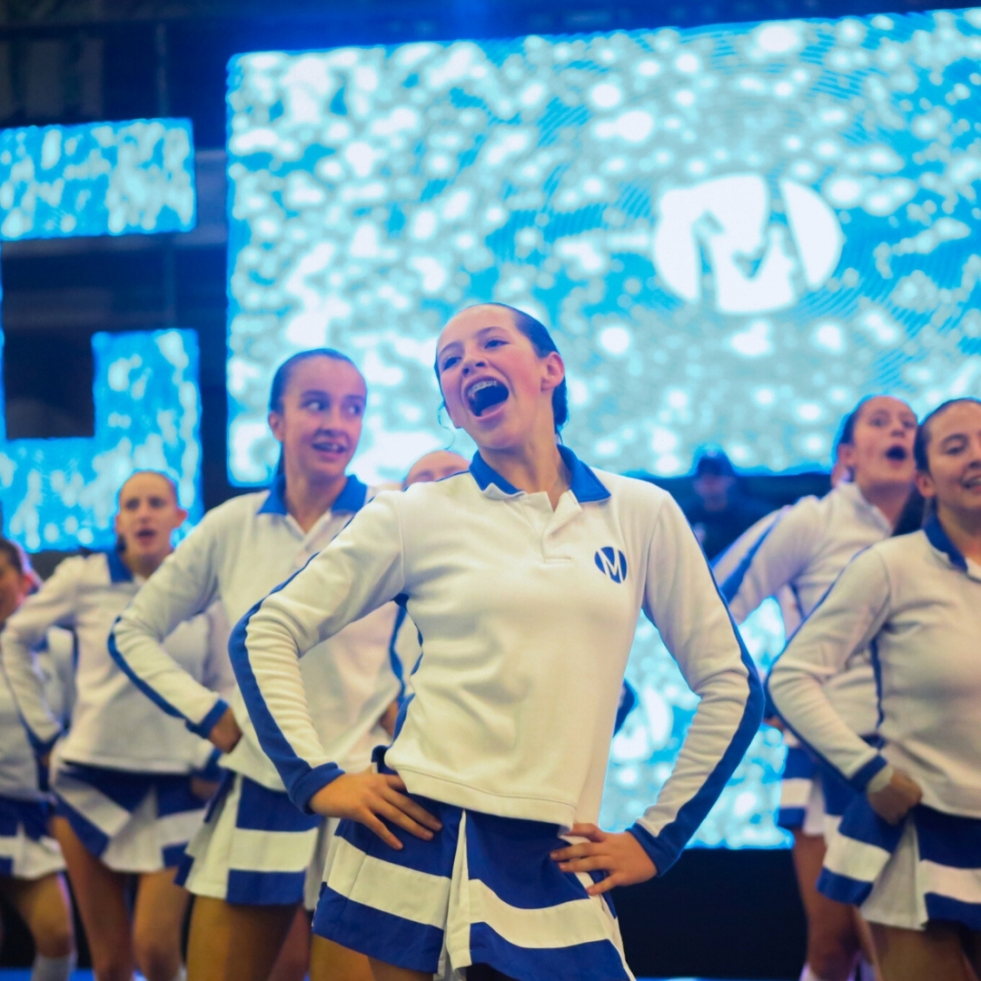 9barras-moderno-2025