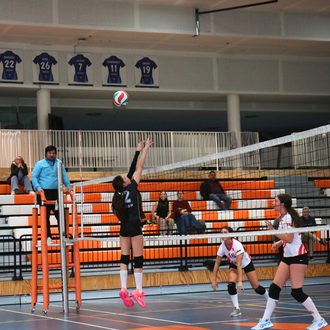 Volley-Enero-20264