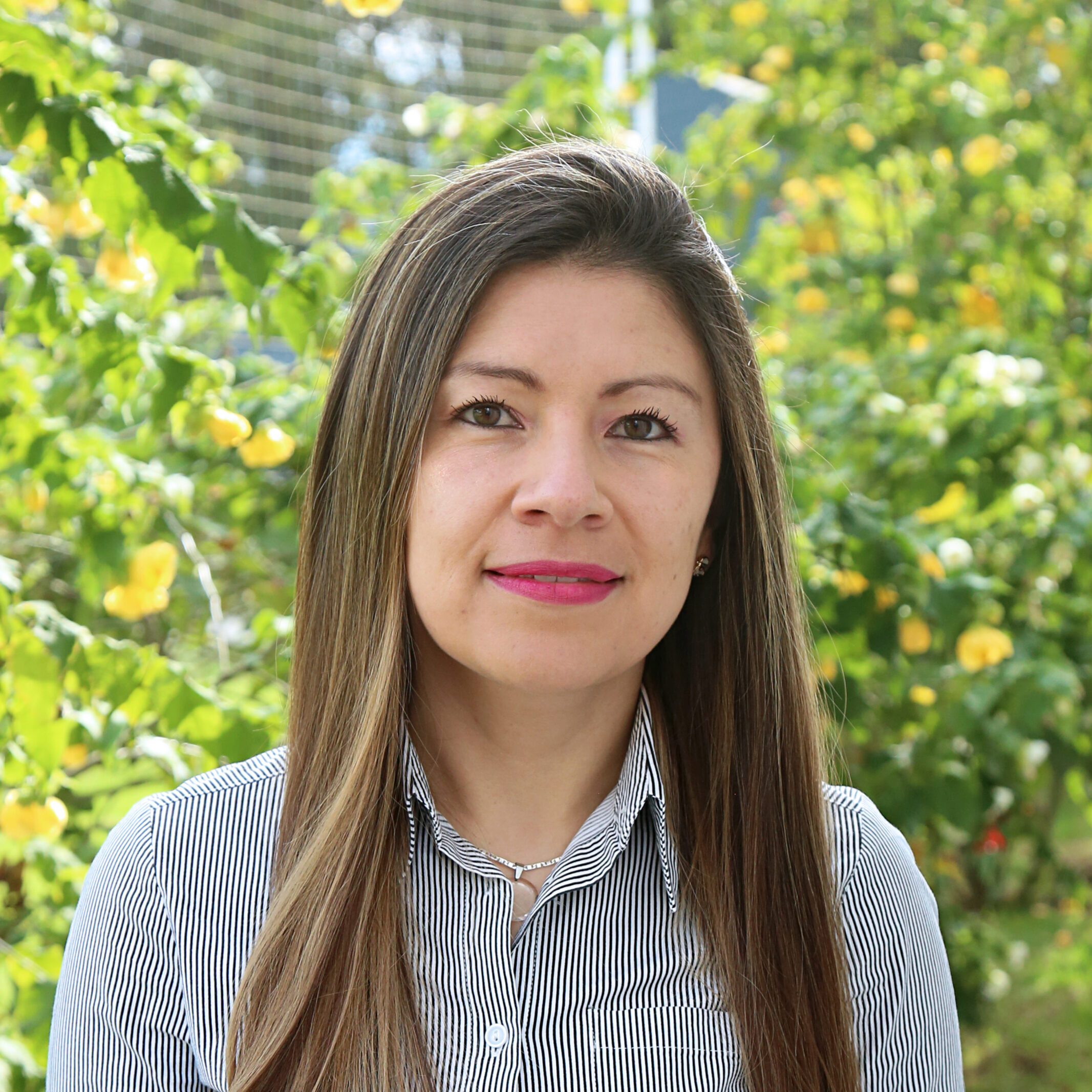 Diana Carolina Santana Cabrera