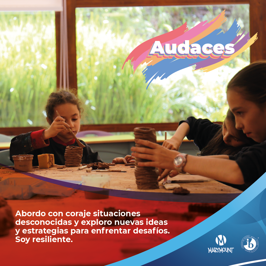 Audaces-IB