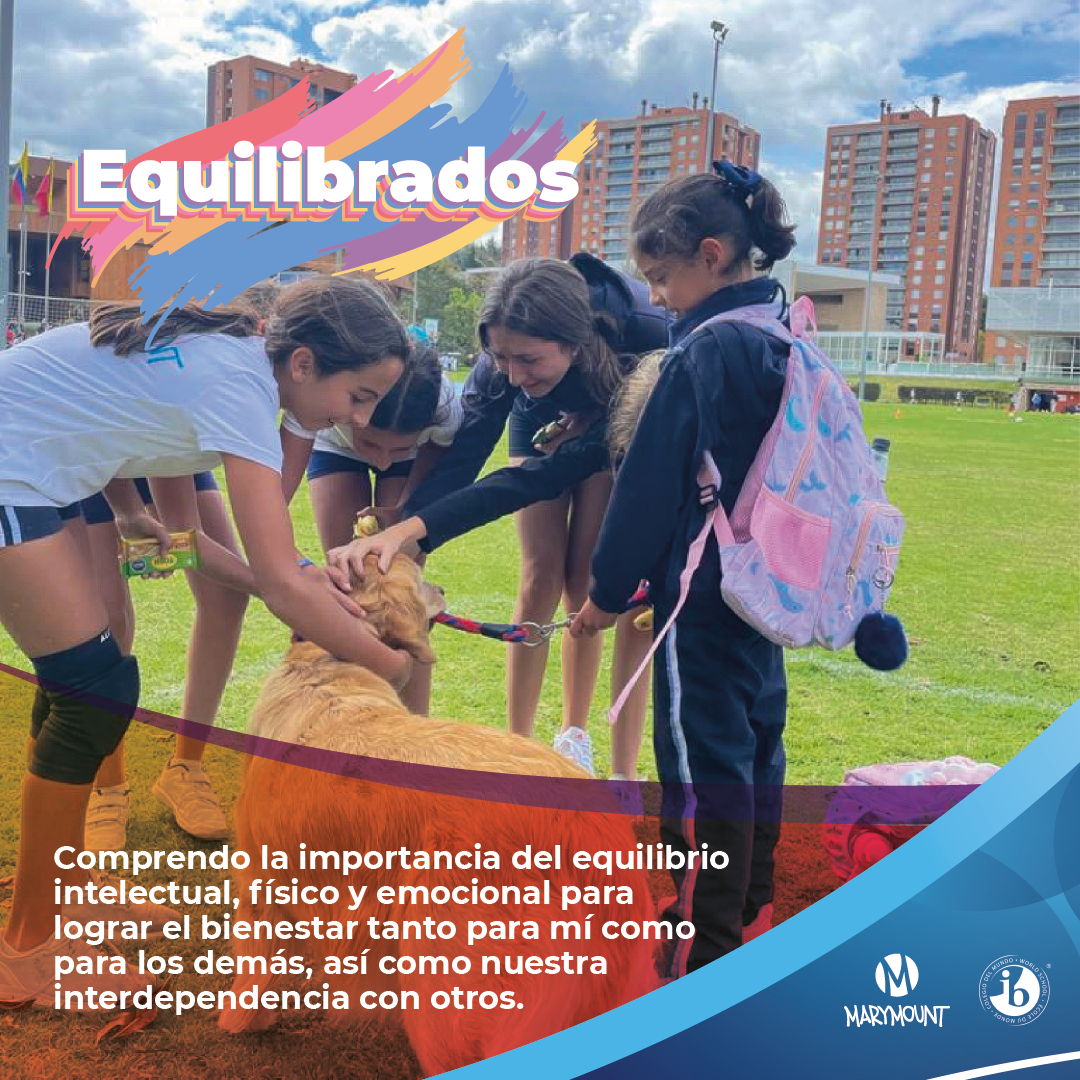 Equilibrados-IB