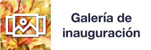 btn-galeria-2025