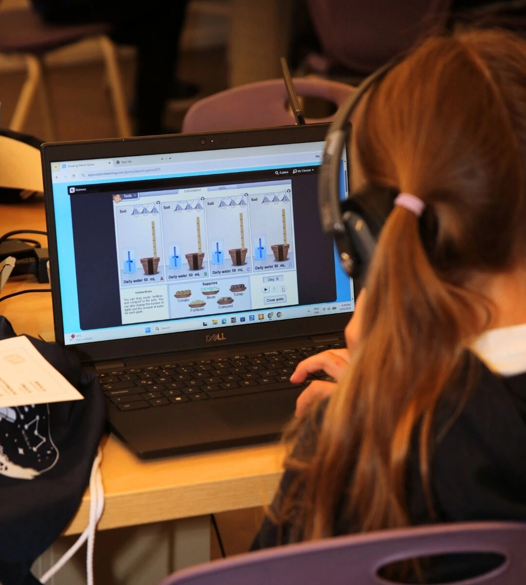 12STEMNIght