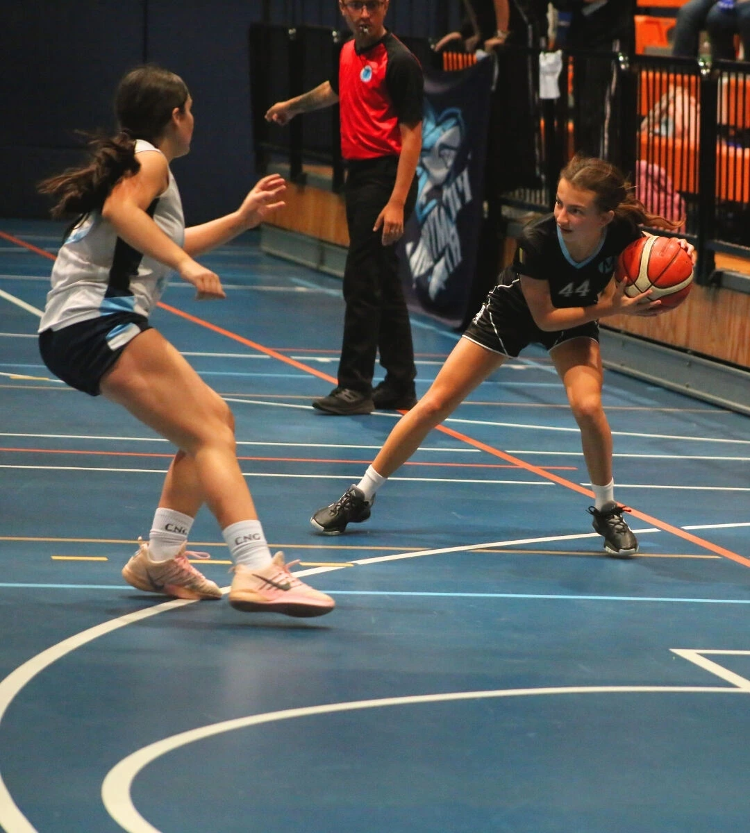 3-basket