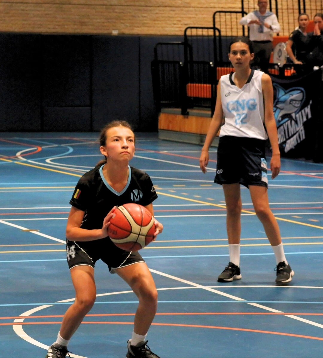 4-basket