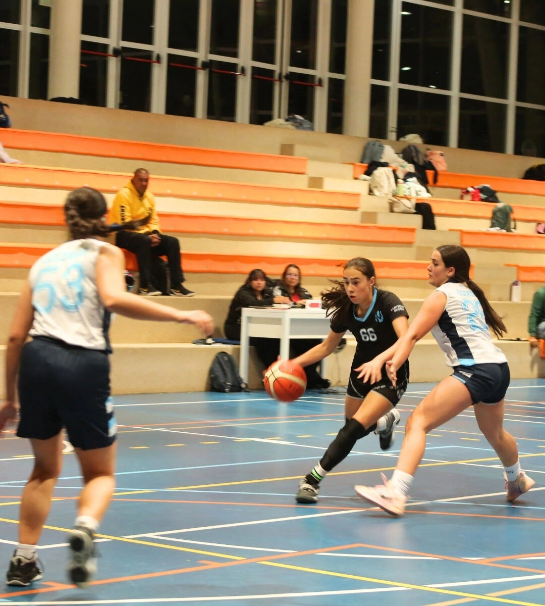 6-basket