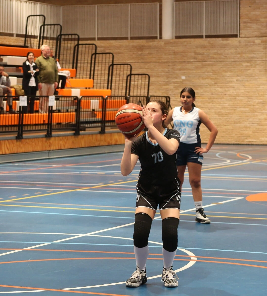 7-basket