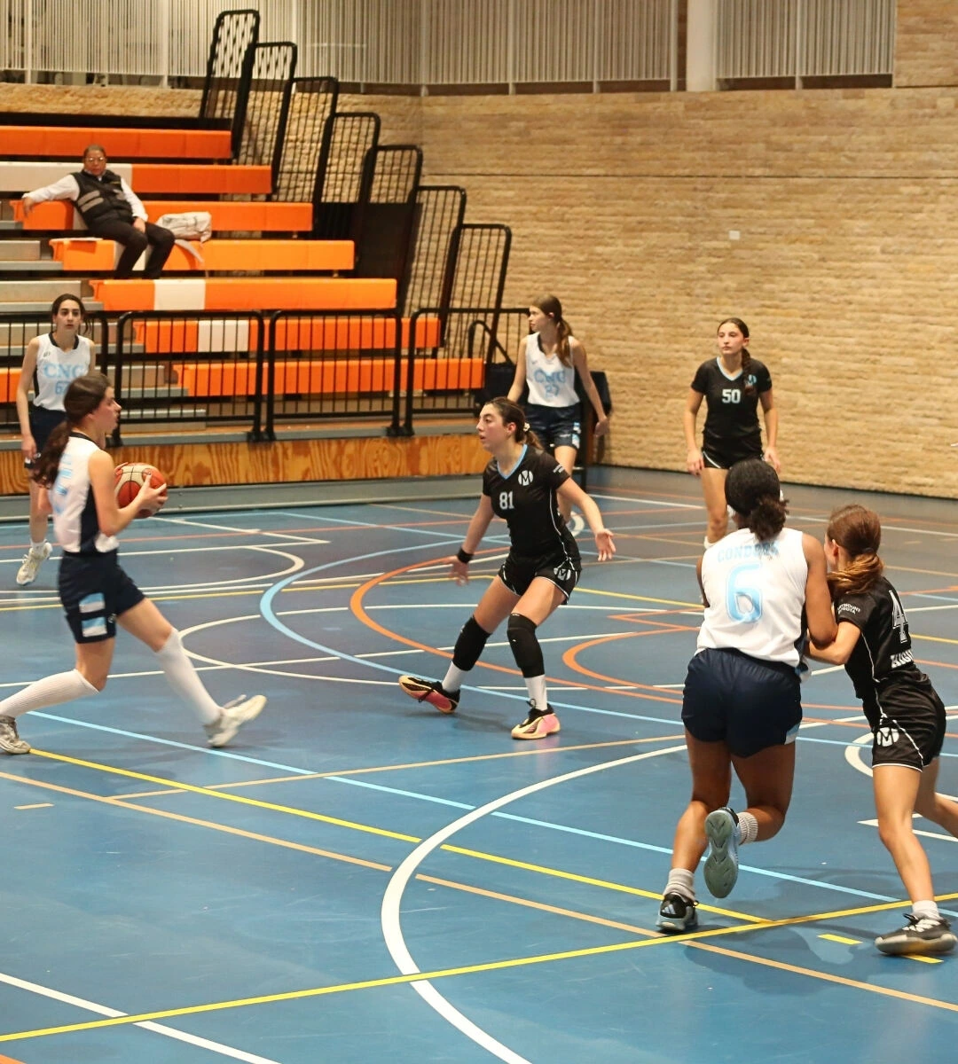 8-basket